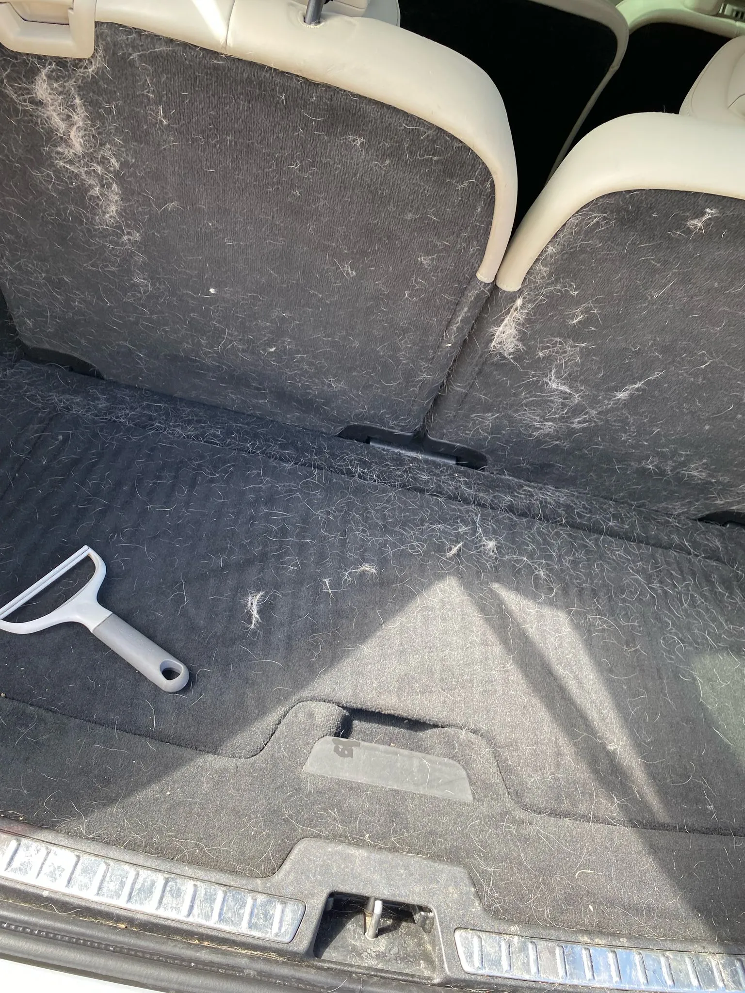 Exterior Detailing Before and After